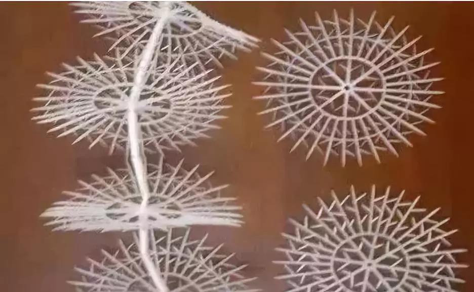 1574481501607737.jpg 微信圖片_20191123110531.jpg