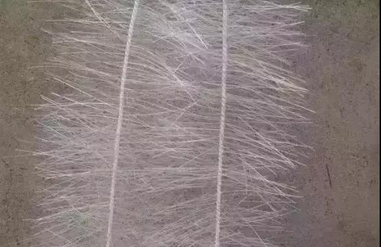 1574481521613418.jpg 微信圖片_20191123110541.jpg