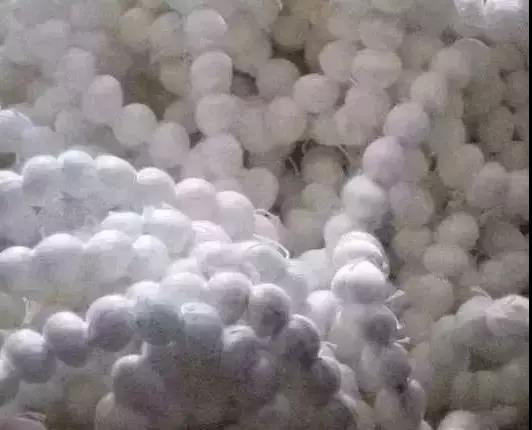 1574481563468788.jpg 微信圖片_20191123110603.jpg